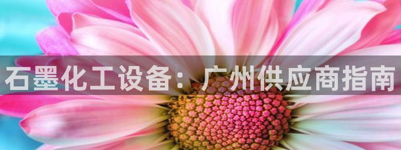 门徒娱乐用户评价与反馈