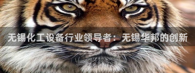 门徒平台官网注册入口