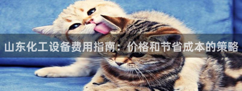 门徒娱乐成功案例
