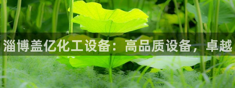门徒平台注册登陆不上