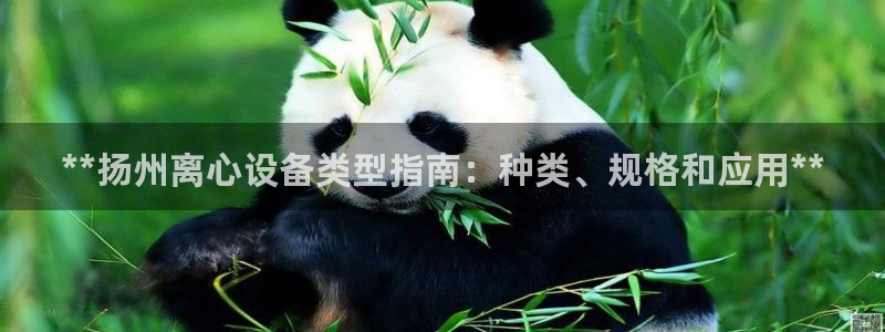 门徒娱乐集团