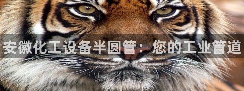 门徒娱乐
