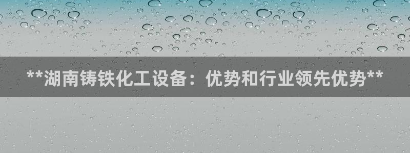 门徒平台例7O777：**湖南铸铁化工设备：优势和