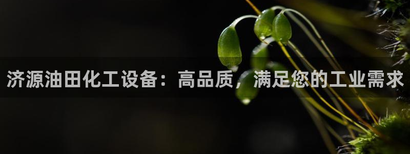 门徒娱乐用户评价与反馈