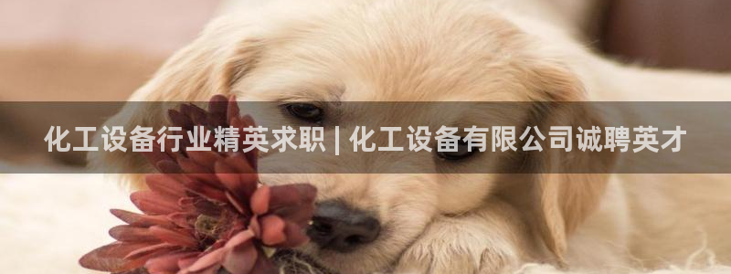 门徒平台注册中心在哪里