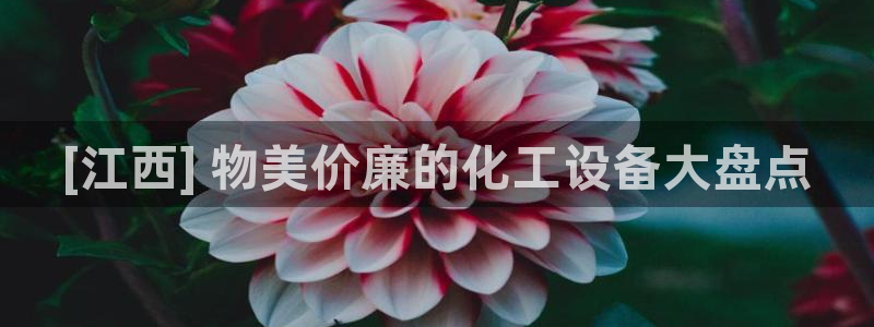 门徒平台代理怎么做