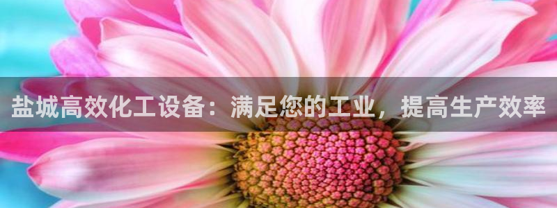 门徒平台系 5O6917 门徒