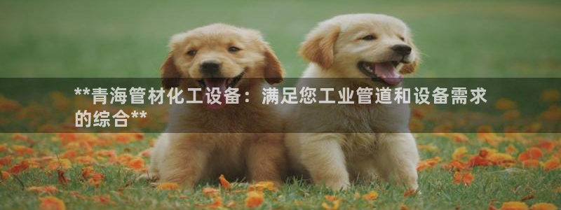 门徒平台线路检测中心