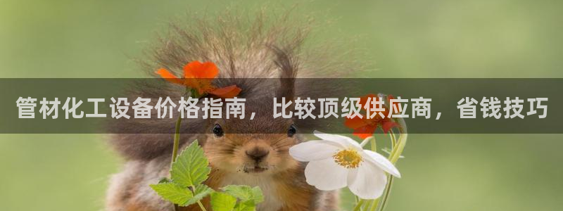 门徒平台开户怎么开的