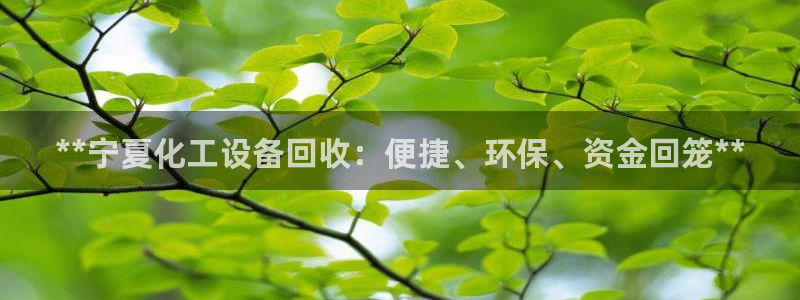 门徒平台集团官网下载安装：**宁夏化工设备回收：便