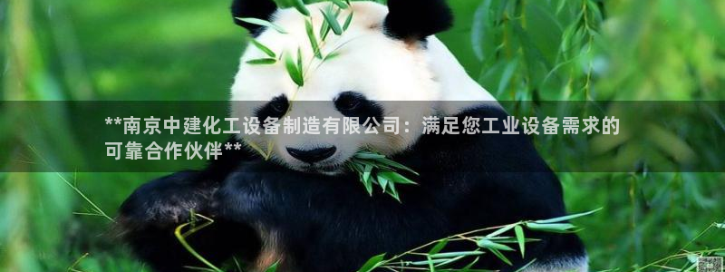 门徒平台集团官网下载：**南京中建化工设备制造有限