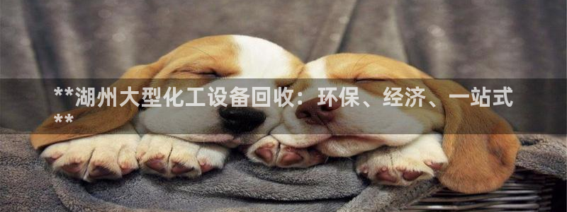 门徒娱乐平台下载官网
