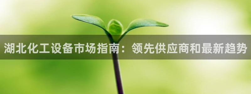 门徒平台官网注册