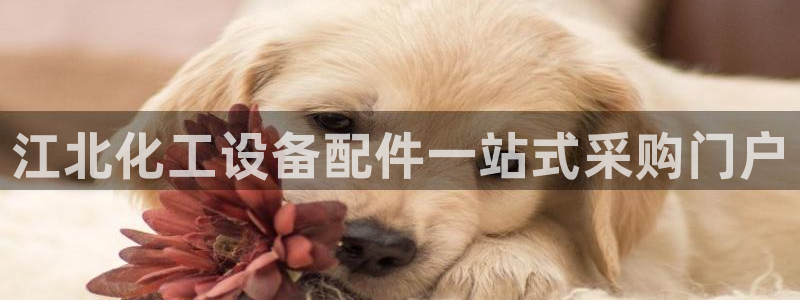 门徒娱乐线上客服