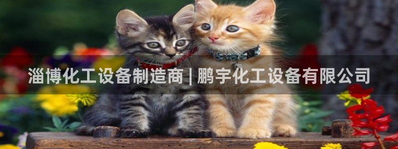 门徒娱乐可以提现么：淄博化工设备制造商 | 鹏宇化