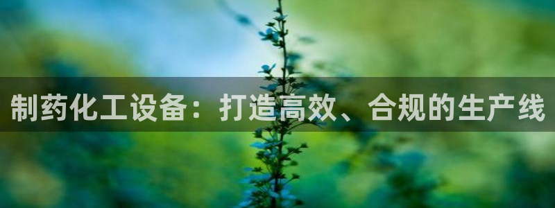 门徒平台中心链接是什么
