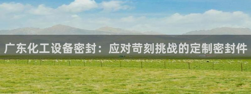 门徒平台二7O777：广东化工设备密封：应对苛刻挑战的定制密