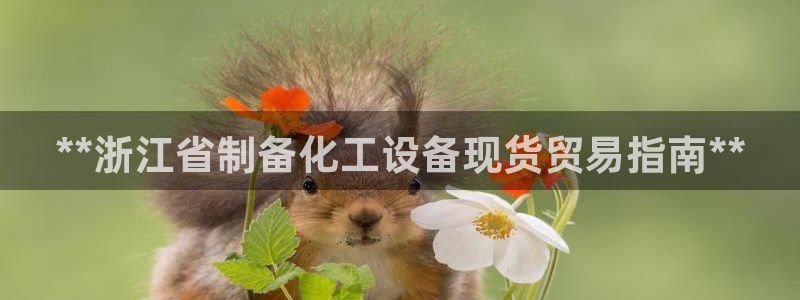 门徒平台注册登录站：**浙江省制备化工设备现货贸易