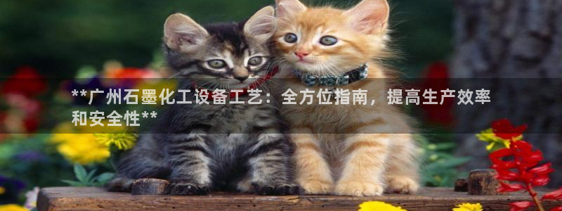 门徒平台登录：**广州石墨化工设备工艺：全方位指南