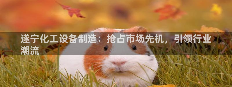 门徒平台注册登陆不上怎么回事