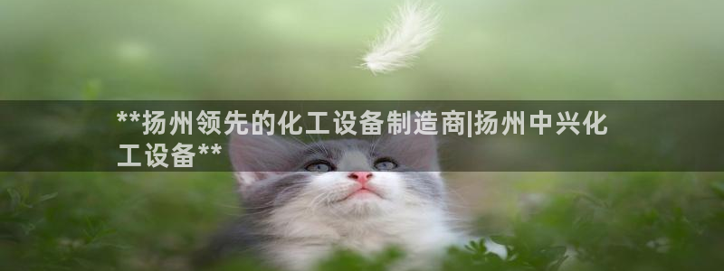 门徒平台注册登陆不上怎么办