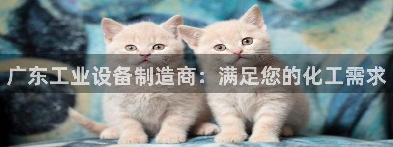 门徒娱乐官网