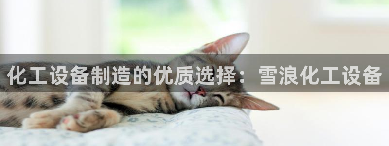 门徒娱乐平台代理公司