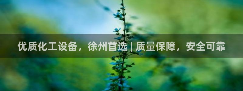 门徒娱乐平台下载安装：优质化工设备，徐州首选 | 
