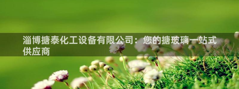 门徒平台二7O777：淄博搪泰化工设备有限公司：您