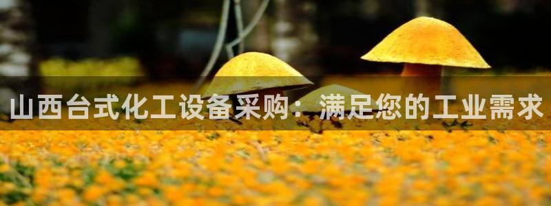 门徒娱乐项目介绍：山西台式化工设备采购：满足您的工