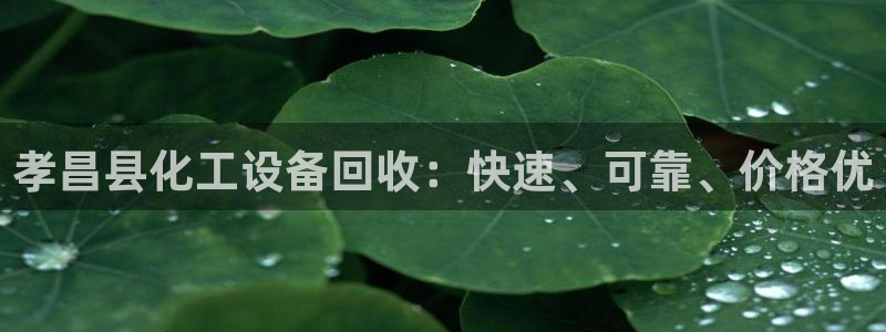 门徒娱乐属于什么系列：孝昌县化工设备回收：快速、可