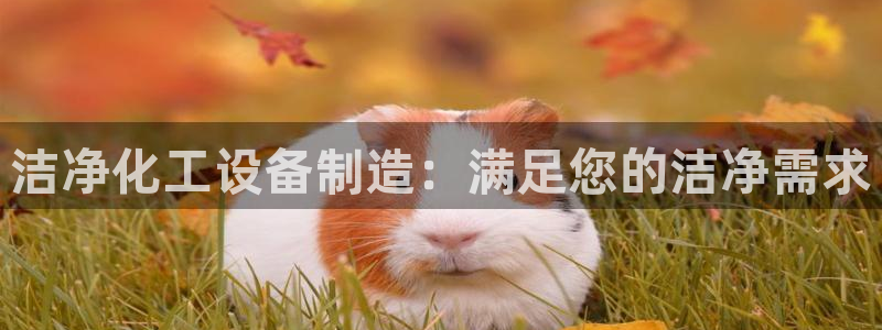 门徒娱乐吧