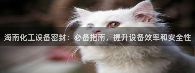 门徒娱乐登录地址在哪查询啊：海南化工设备密封：必备