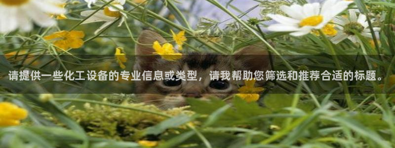 门徒平台注册中心在哪里