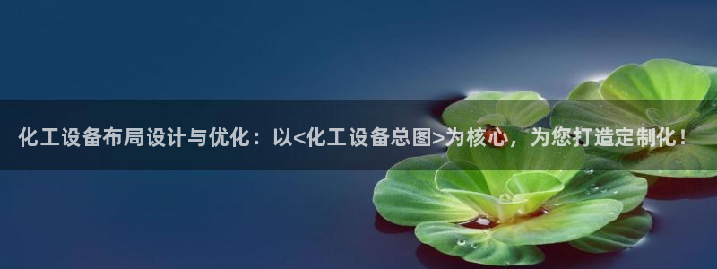 门徒娱乐是真的吗：化工设备布局设计与优化：以<化工