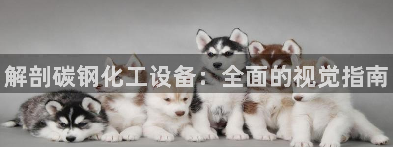 门徒娱乐平台登录地址