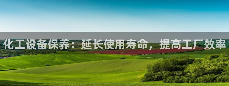 门徒平台定制 411O31 门徒