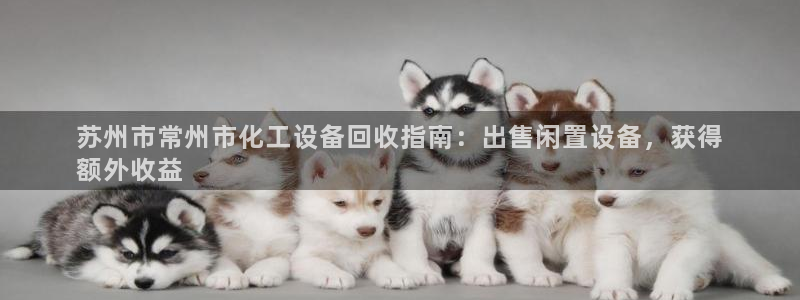 门徒平台主管代理