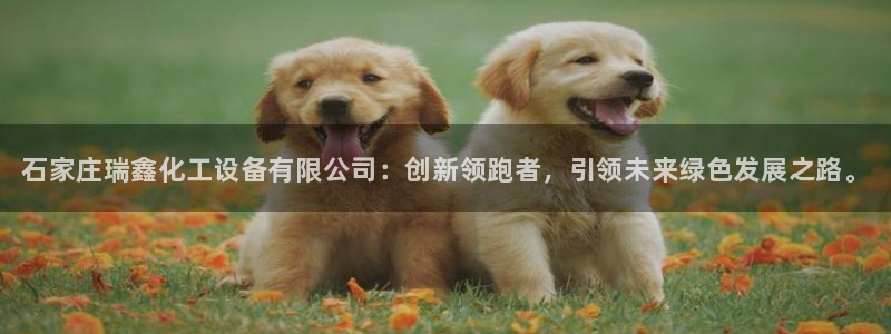 门徒娱乐注册下载软件：石家庄瑞鑫化工设备有限公司：