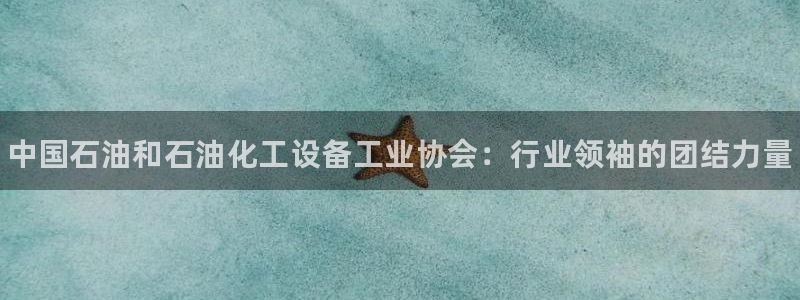 门徒平台：中国石油和石油化工设备工业协会：行业领袖