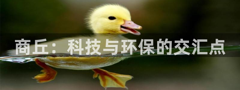 门徒娱乐是什么意思啊