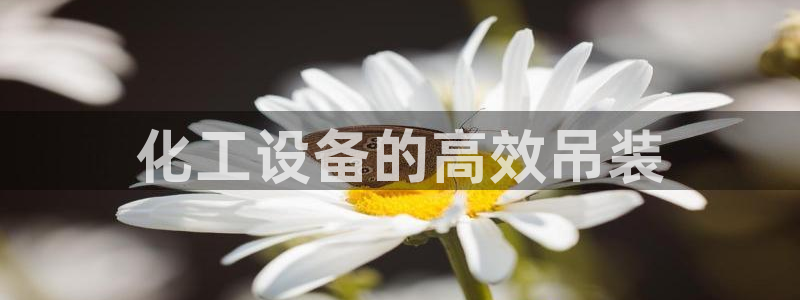 门徒娱乐企业简介：化工设备的高效吊装